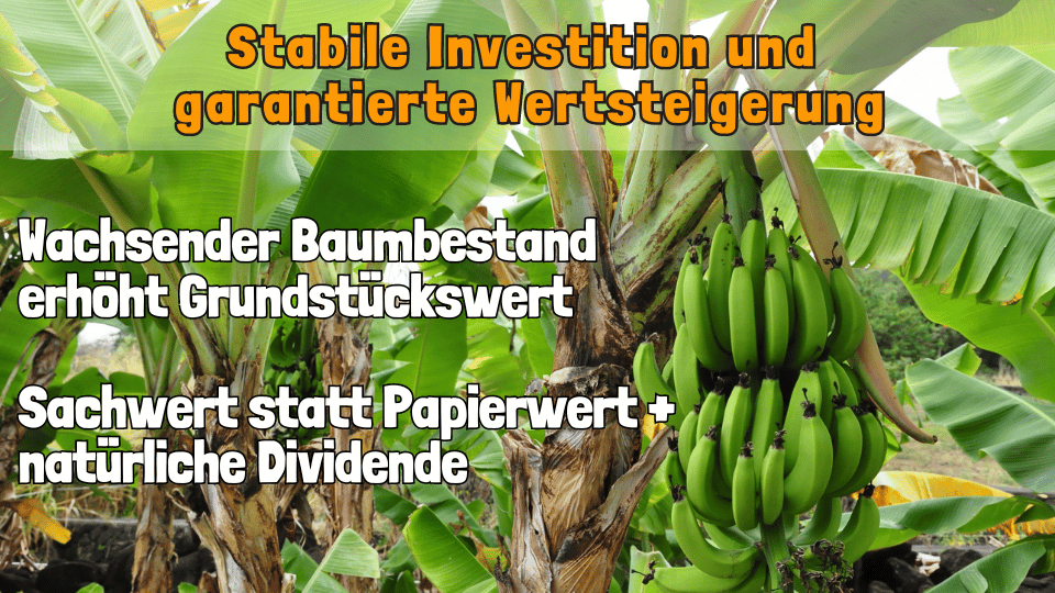 Rettungsgarten_Vorteile3