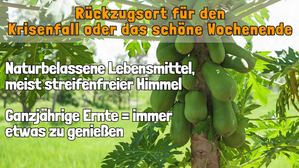 Rettungsgarten_Vorteile4